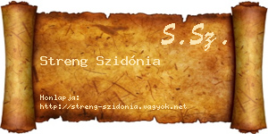 Streng Szidónia névjegykártya